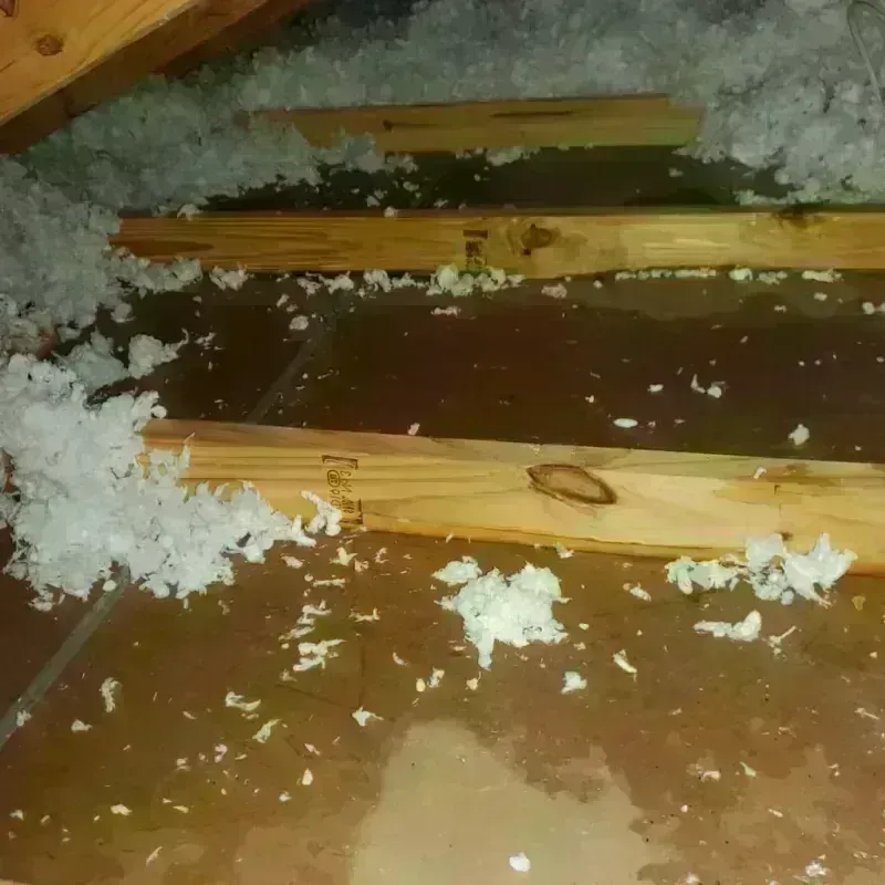 Attic Water Damage in Eatons Neck, NY